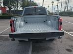 2025 Ford F-250 Crew Cab 4WD Pickup for sale #FS1239 - photo 9