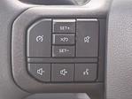 2025 Ford F-350 Crew Cab DRW 4WD Pickup for sale #FS1263 - photo 19