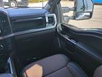 2024 Ford F-250 Crew Cab 4WD Pickup for sale #FS1356A - photo 16