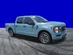 2023 Ford F-150 SuperCrew Cab RWD Pickup for sale #FS1399C - photo 4