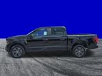 New 2025 Ford F-150 STX SuperCrew Cab Pickup for sale #FS1421 - photo 7