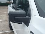 New 2025 Ford F-150 STX SuperCrew Cab 4WD Pickup for sale #FS1453 - photo 12