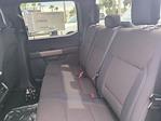New 2025 Ford F-150 STX SuperCrew Cab 4WD Pickup for sale #FS1461 - photo 10