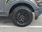 New 2025 Ford F-150 STX SuperCrew Cab 4WD Pickup for sale #FS1467 - photo 11