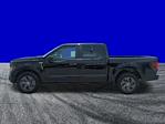New 2025 Ford F-150 STX SuperCrew Cab Pickup for sale #FS1497 - photo 7