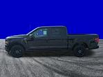 New 2025 Ford F-150 STX SuperCrew Cab Pickup for sale #FS1531 - photo 14