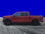 New 2025 Ford F-150 STX SuperCrew Cab 4WD Pickup for sale #FS1544 - photo 7