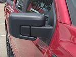 New 2025 Ford F-150 STX SuperCrew Cab 4WD Pickup for sale #FS1544 - photo 12