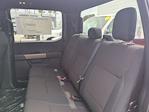 New 2025 Ford F-150 STX SuperCrew Cab 4WD Pickup for sale #FS1544 - photo 14