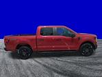 New 2025 Ford F-150 STX SuperCrew Cab 4WD Pickup for sale #FS1544 - photo 4