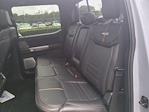 2024 Ford F-250 Crew Cab 4WD Pickup for sale #FS1552A - photo 14