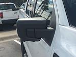 New 2025 Ford F-150 XLT SuperCrew Cab 4WD Pickup for sale #FS1751 - photo 14