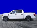 2025 Ford F-150 SuperCrew Cab 4WD Pickup for sale #FS1760 - photo 7
