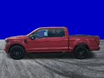 New 2025 Ford F-150 XLT SuperCrew Cab Pickup for sale #FS1762 - photo 7