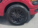 New 2025 Ford F-150 XLT SuperCrew Cab Pickup for sale #FS1762 - photo 11