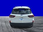 New 2025 Ford Escape ST-Line SUV for sale #FS1769 - photo 5