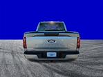 2025 Ford F-150 SuperCrew Cab 4WD Pickup for sale #DTS0510 - photo 30