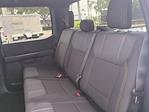 New 2025 Ford F-150 STX SuperCrew Cab 4WD Pickup for sale #FS1877 - photo 14