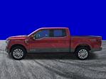 2025 Ford F-150 SuperCrew Cab 4WD Pickup for sale #FS1883 - photo 7