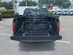 2025 Ford F-150 SuperCrew Cab RWD Pickup for sale #FS2085 - photo 13
