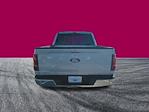 2025 Ford F-150 SuperCrew Cab 4WD Pickup for sale #FS2091 - photo 5