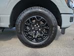2024 Ford F-150 SuperCrew Cab 4WD Pickup for sale #FS2109A - photo 11