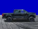 New 2025 Ford F-250 XLT Crew Cab for sale #FS2130 - photo 4