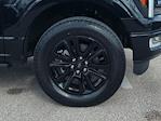 New 2025 Ford F-150 Platinum SuperCrew Cab for sale #FS2230 - photo 11
