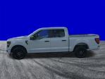 New 2025 Ford F-150 STX SuperCrew Cab for sale #FS2274 - photo 7