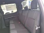 New 2025 Ford F-150 STX SuperCrew Cab for sale #FS2289 - photo 14