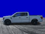 New 2025 Ford F-150 STX SuperCrew Cab for sale #FS2326 - photo 7
