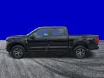 New 2025 Ford F-150 STX SuperCrew Cab for sale #FS2336 - photo 8