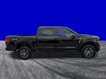 New 2025 Ford F-150 STX SuperCrew Cab for sale #FS2336 - photo 3