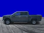 New 2025 Ford F-150 XLT SuperCrew Cab for sale #FS2388 - photo 6
