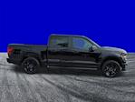 New 2025 Ford F-150 STX SuperCrew Cab for sale #FS2541 - photo 5