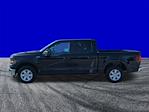 2026 Ford F-150 SuperCrew Cab RWD Pickup for sale #FT0544 - photo 7