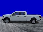 2026 Ford F-150 SuperCrew Cab 4WD Pickup for sale #FT0785 - photo 7
