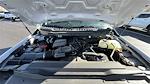 2024 Ford F-350 Crew Cab SRW 4x4 Pickup for sale #17F4147 - photo 15