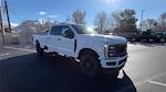 2024 Ford F-350 Crew Cab SRW 4x4 Pickup for sale #17F4147 - photo 9