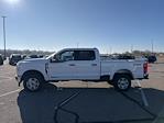 New 2026 Ford F-250 XLT Crew Cab for sale #17F5234 - photo 2