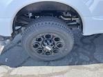 2025 Ford F-350 Crew Cab SRW 4x4 Pickup for sale #17S4400 - photo 34
