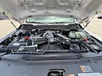2025 Ford F-350 Crew Cab SRW 4x4 Pickup for sale #17S4400 - photo 39