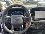2025 Ford F-150 SuperCrew Cab 4x4 Pickup for sale #17S4766 - photo 11