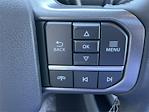 2024 Ford F-150 SuperCrew Cab 4x4 Pickup for sale #248261 - photo 23