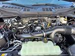 2025 Ford F-150 Super Cab 4x4 Pickup for sale #258213 - photo 11