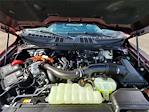 2025 Ford F-150 SuperCrew Cab 4x4 Pickup for sale #258224 - photo 14