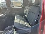 2025 Ford F-150 SuperCrew Cab 4x4 Pickup for sale #258224 - photo 43