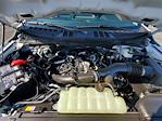 2025 Ford F-150 Super Cab 4x4 Pickup for sale #258227 - photo 14