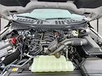 New 2025 Ford F-150 XLT SuperCrew Cab 4x4 Pickup for sale #258231 - photo 13