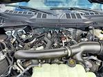 2025 Ford F-150 SuperCrew Cab 4x4 Pickup for sale #258235 - photo 14